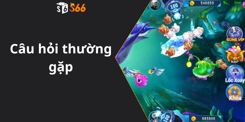 Câu hỏi thường gặp