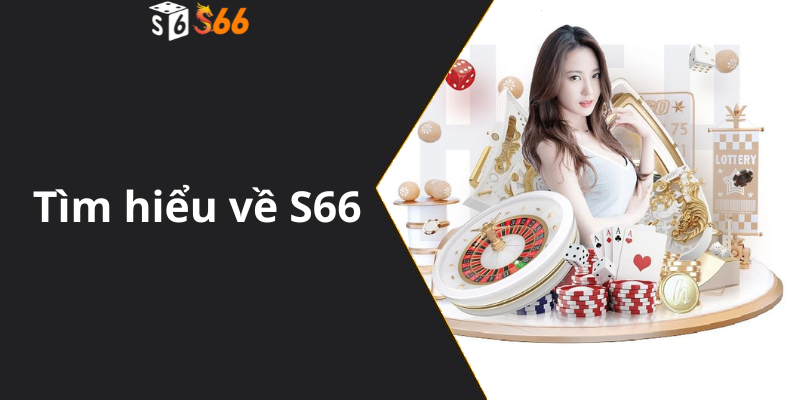 Tìm hiểu về S66