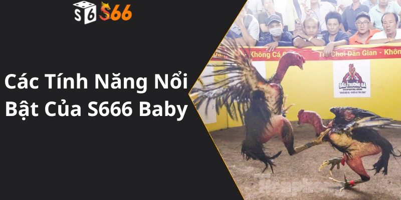 Các Tính Năng Nổi Bật Của S666 Baby