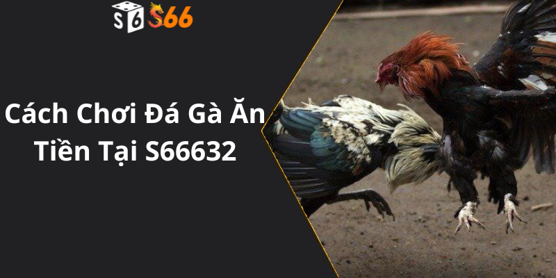 Cách Chơi Đá Gà Ăn Tiền Tại S66632