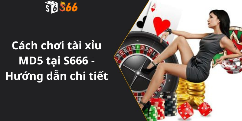 Cách chơi tài xỉu MD5 tại S666 - Hướng dẫn chi tiết