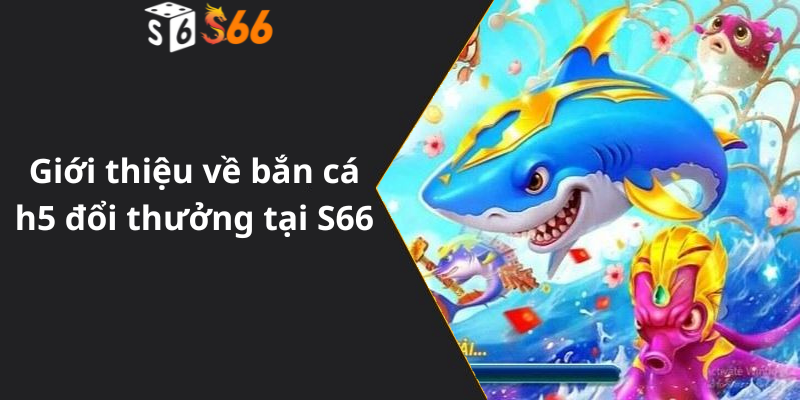 Giới thiệu về bắn cá h5 đổi thưởng tại S66