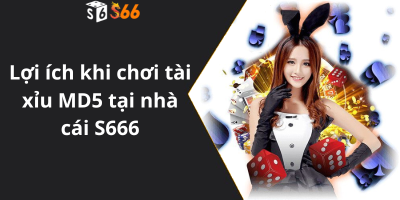 Lợi ích khi chơi tài xỉu MD5 tại nhà cái S666