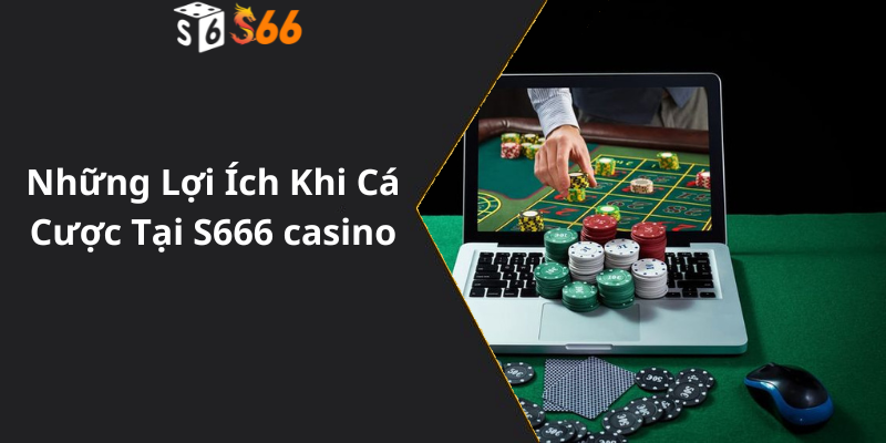 Những Lợi Ích Khi Cá Cược Tại S666 casino