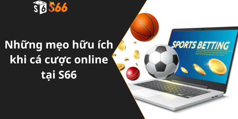 Những mẹo hữu ích khi cá cược online tại S66