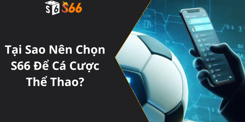 Tại Sao Nên Chọn S66 Để Cá Cược Thể Thao