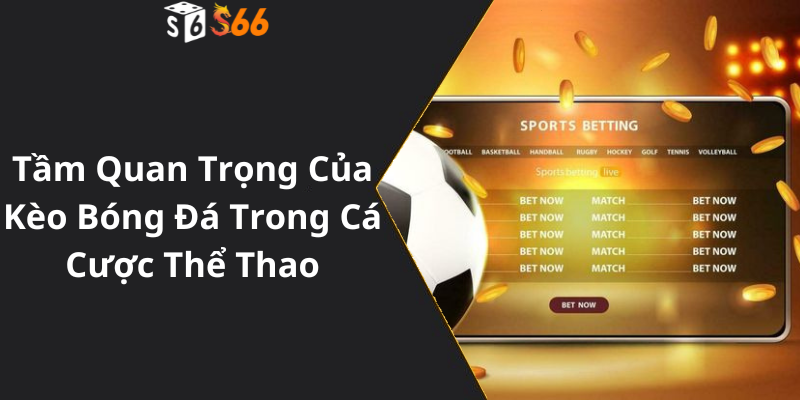 Tầm Quan Trọng Của Kèo Bóng Đá Trong Cá Cược Thể Thao