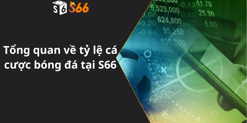 Tổng quan về tỷ lệ cá cược bóng đá tại S66