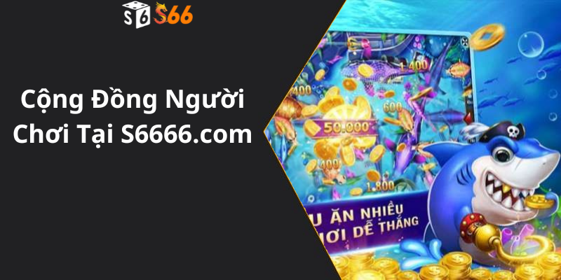 Cộng Đồng Người Chơi Tại S6666.com