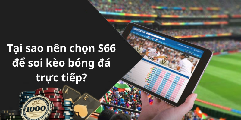 Tại sao nên chọn S66 để soi kèo bóng đá trực tiếp